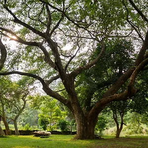 The Nest Thattekad , Thattakād Inde